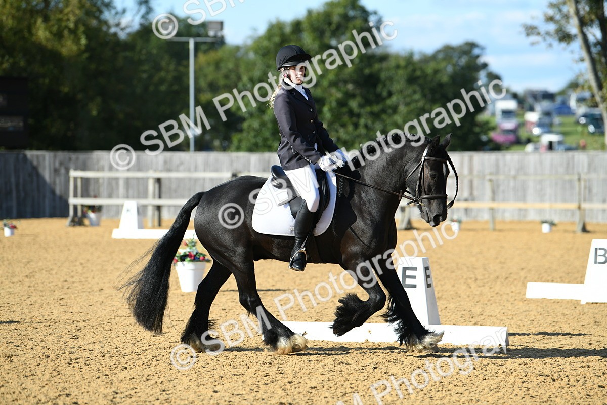 SBM_28455 - D16 - Small Tour Championship - Novice 28