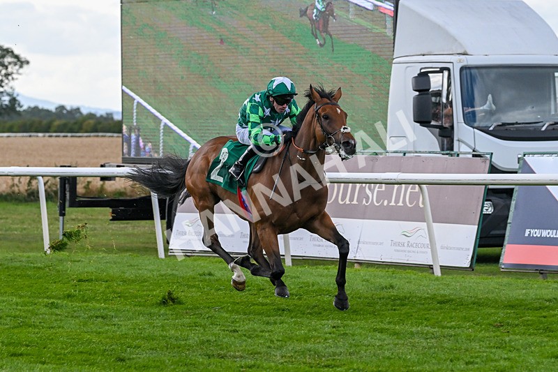 080825-Race 5-Paddy The Squire-2668 - Race 5