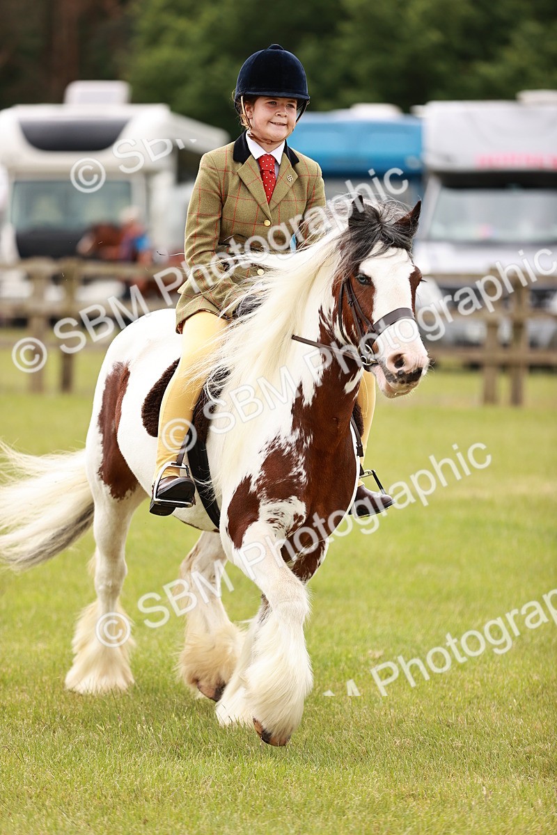 SBM_06139 - Class 39-41 TGCA In Hand and Ridden
