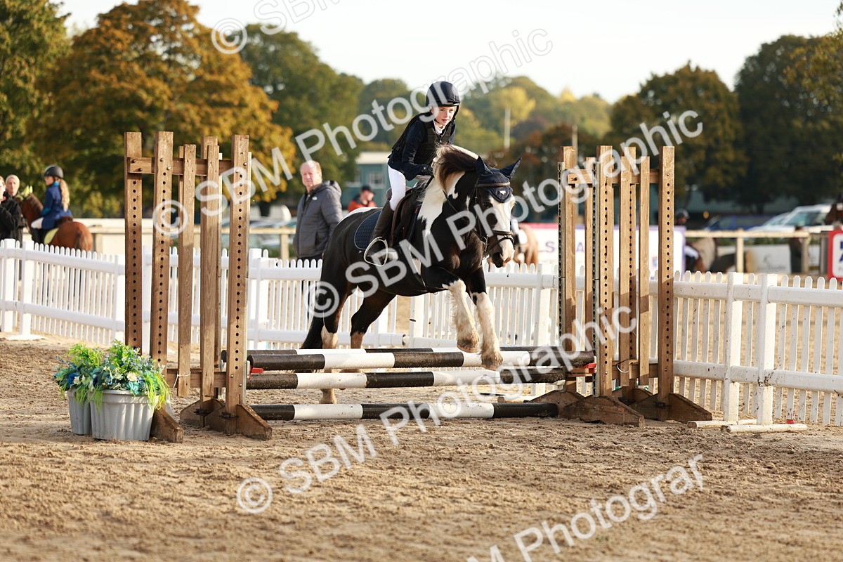 SBM_55422 - J11 - Junior Pony 50cm Championship