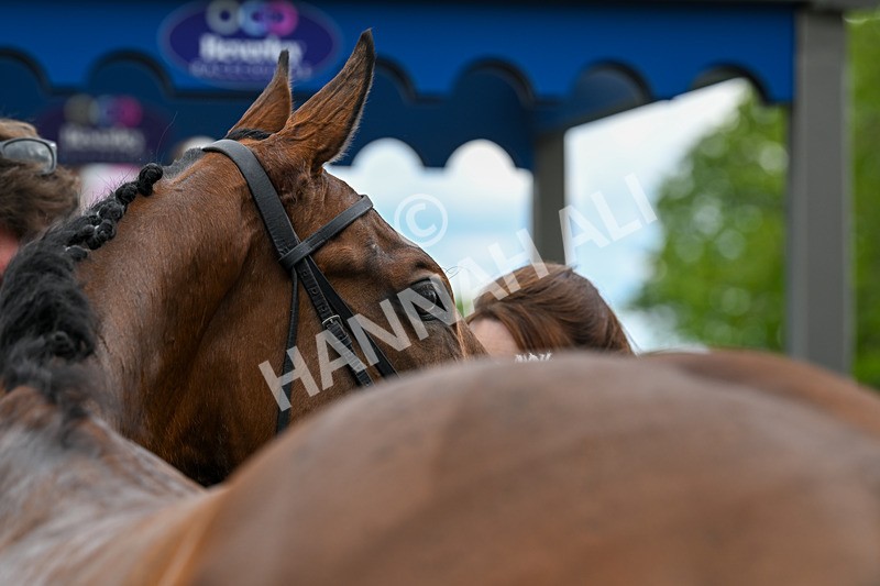 280525-Race 4-Princess Niyla-5361 - Race 4