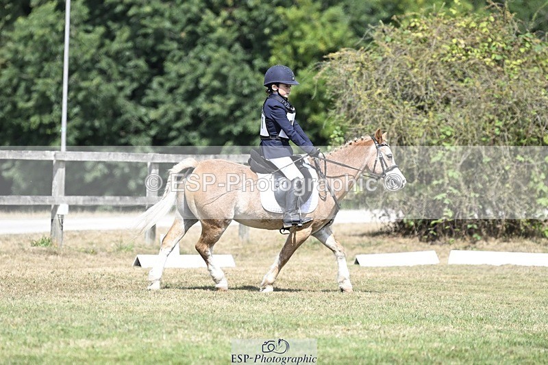 250821A-121007-15456 - DR 11.00 to 12.00