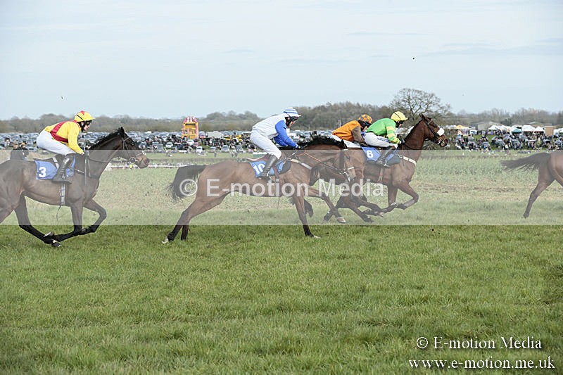 PtP 230319 303 - VWH Hunt Siddington Point-to-Point Racing 23/03/19