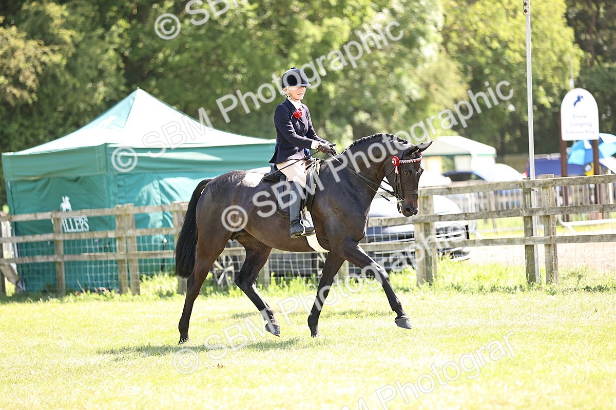 SBM_18075 - Class 81-83 - TSR Ridden Amateur of the Year - Horses