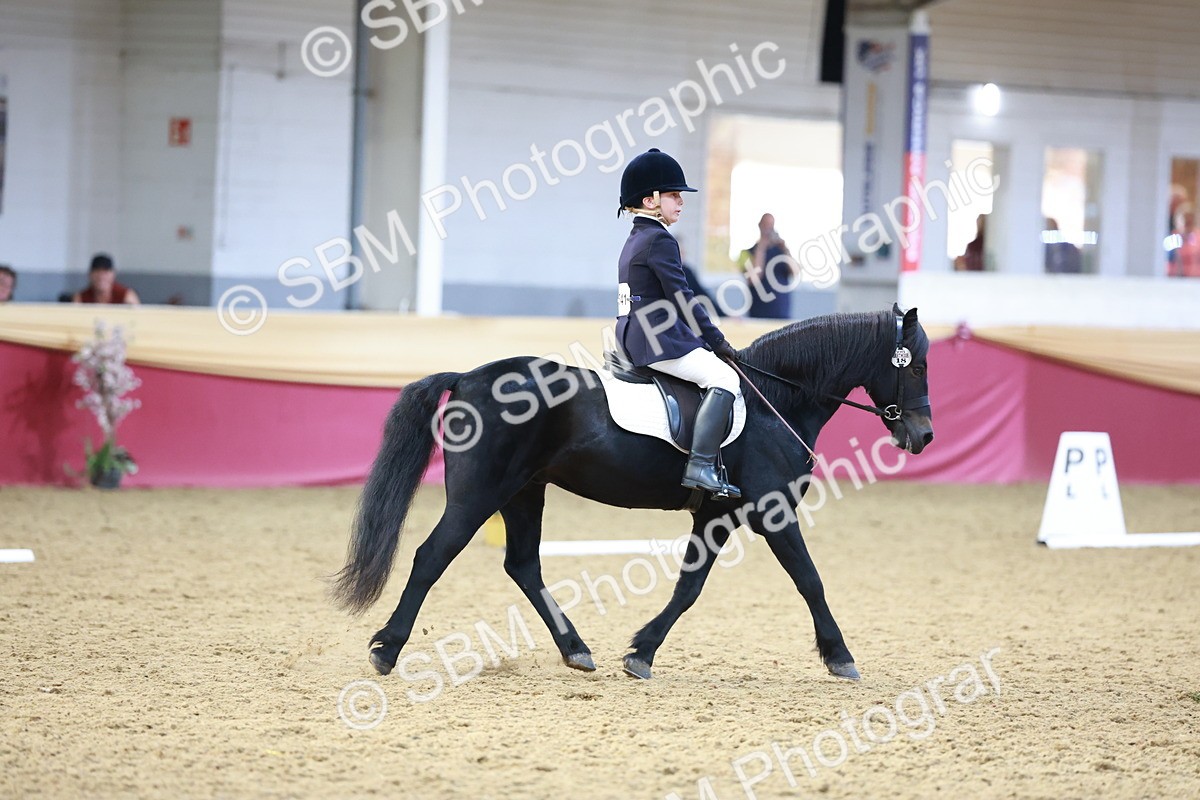 SBM_09214 - Class 61 - Dressage to Music