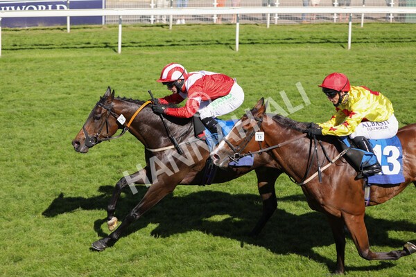  - Race 6 4.50pm The Ice Co supporting Macmillan Stakes