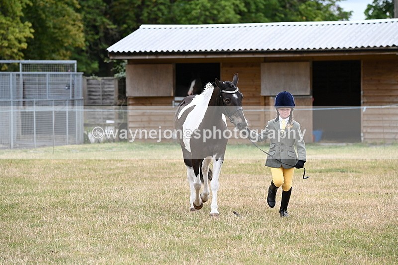 WJ6_4331 - Class 10 Coloured In-hand