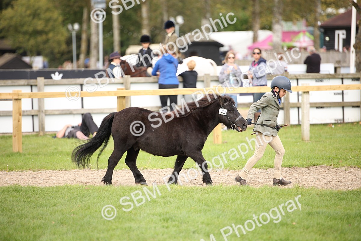 SBM_46323 - S25 - Mature Veteran In Hand