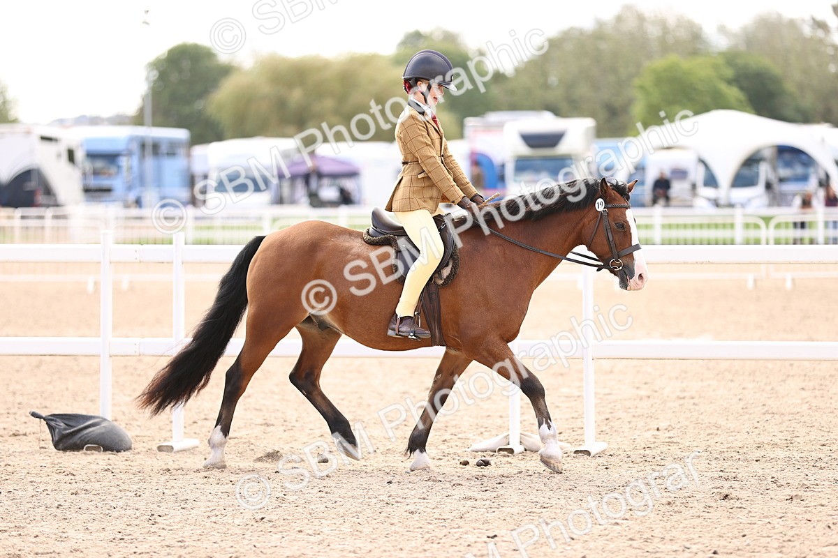 SBM_12831 - Class 409 - Grassroots Ridden - Pony