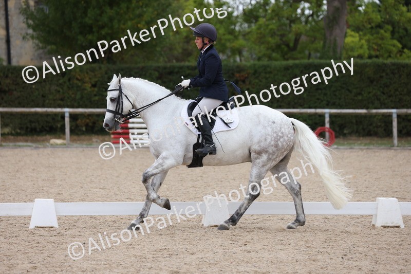 20250820-1158 - Class 17 - Elementary 4