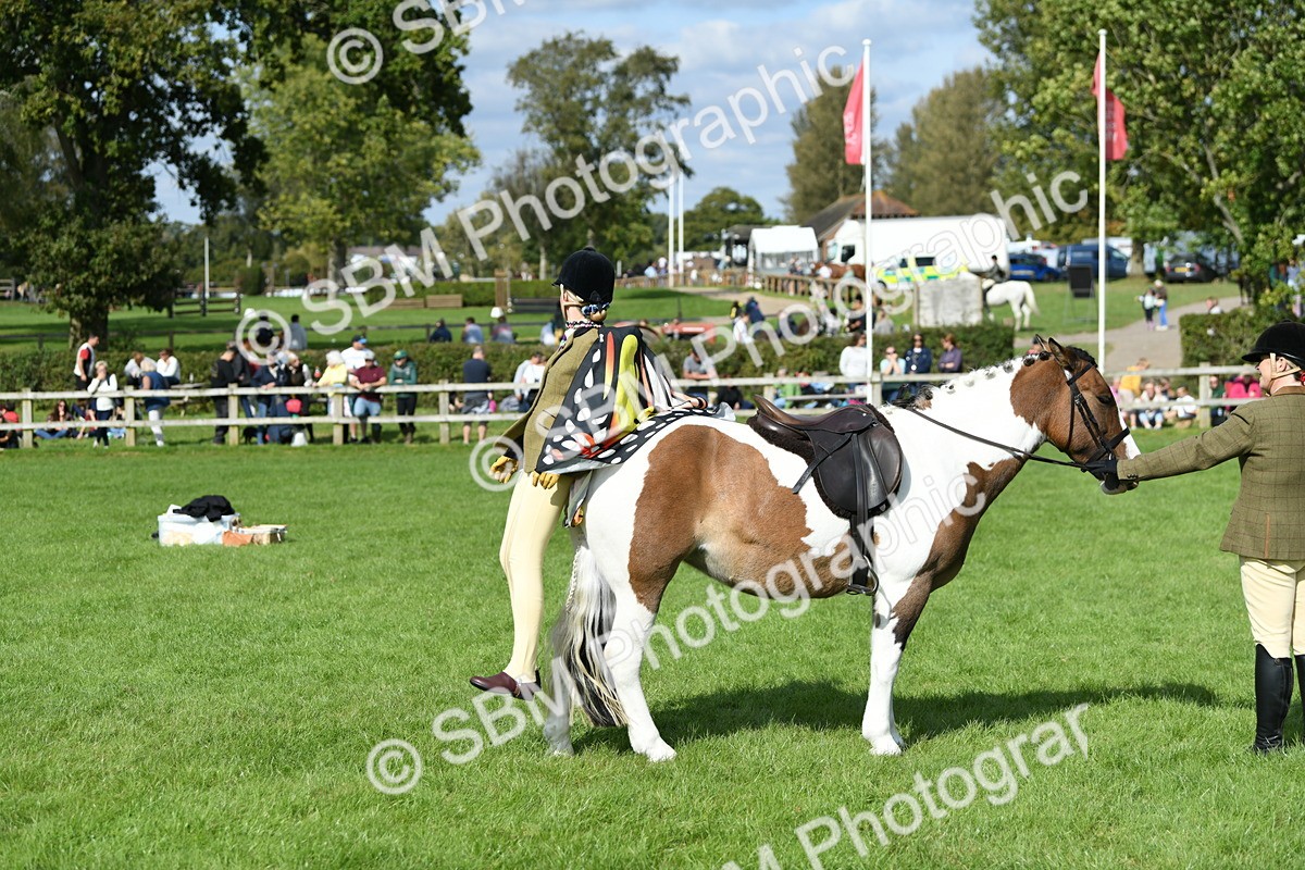 SBM_47133 - S12 - Family Horse & Pony