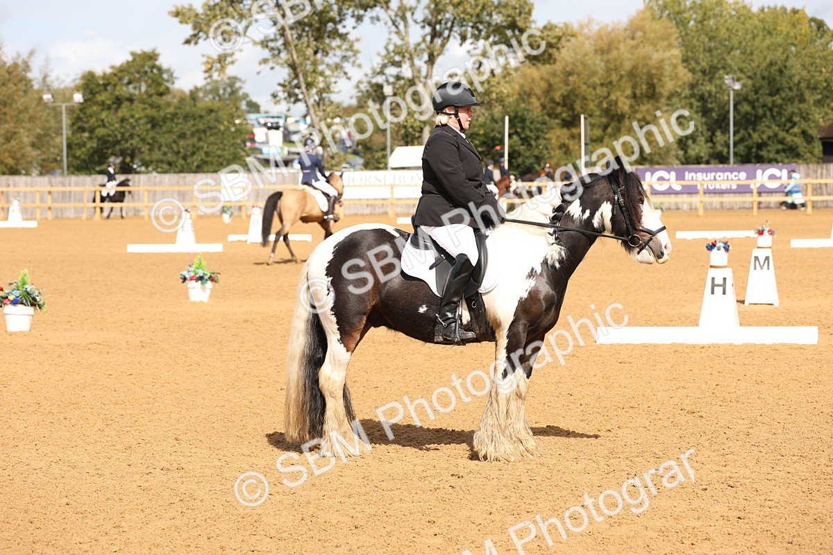 SBM_40695 - D6 - Small Tour Championship Intro 4