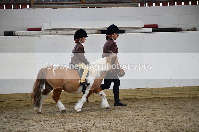 WJ5_6543 - Class 10 Childs Pony