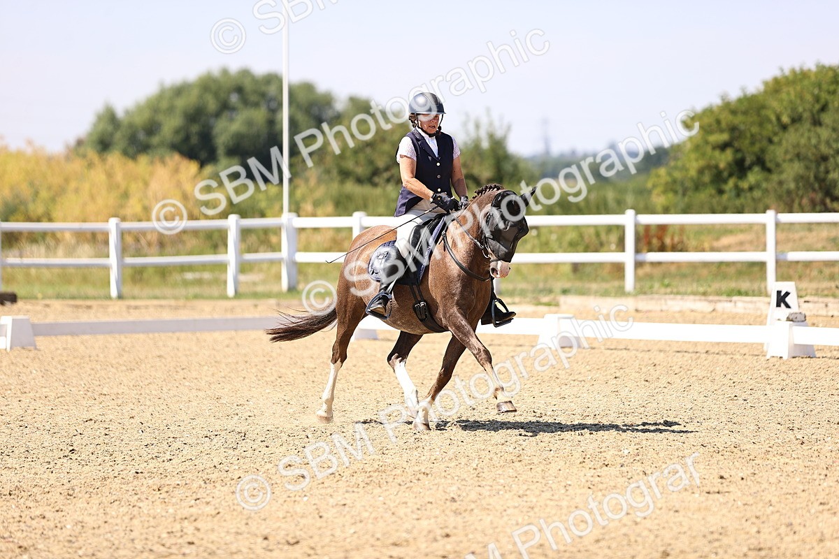 SBM_005497 - Elementary 4 Warm Up