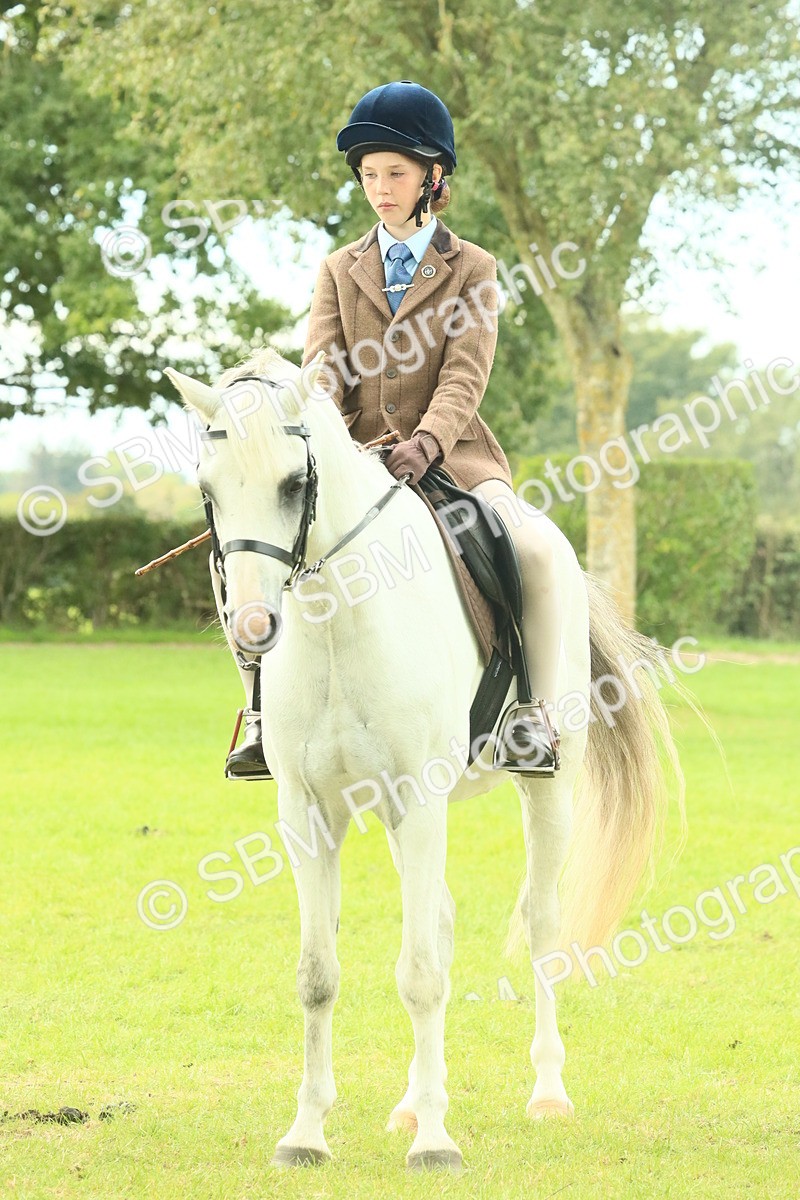 SBM_69984 - S59 - Mountain & Moorland Ridden Small Breeds