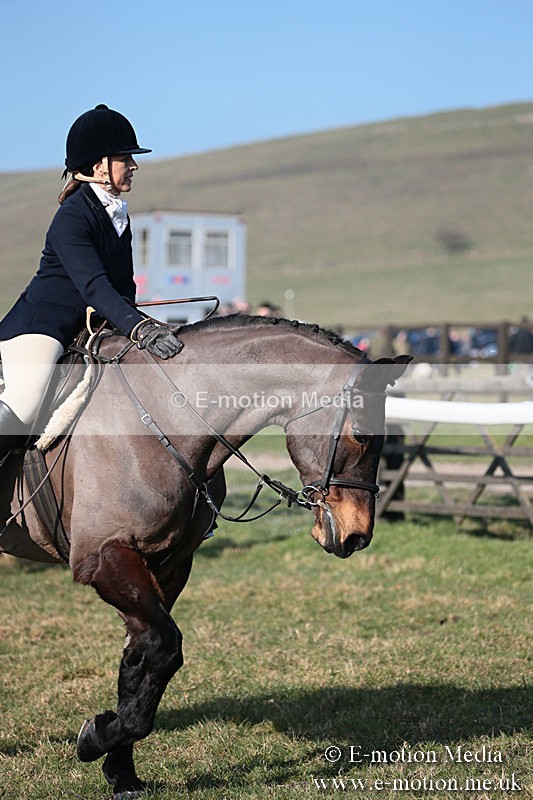 PtP 230219 366 - Vine & Craven Point-To-Point - Barbury 23/02/19