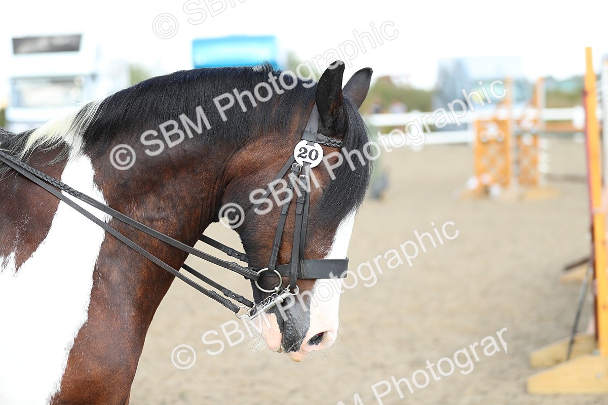 SBM_06970 - Class 49b Style & Performance 80cm (20+)