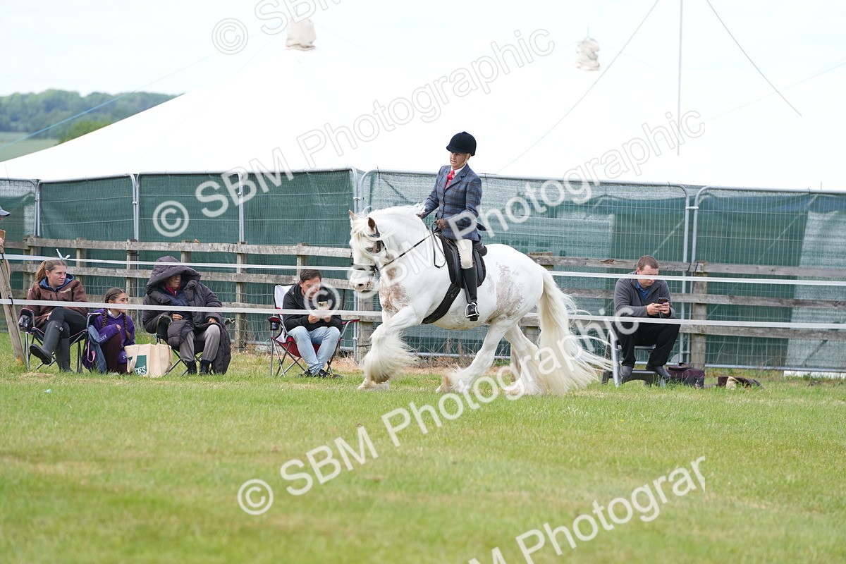 SBM_17187 - Class 107-108 - LIHS BSPS Performance Coloured Horse Pony