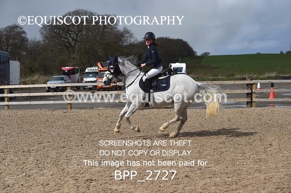 BPP_2727 - CLASS 29 STX-UK Pony BritiNovice / 0.80m Open
