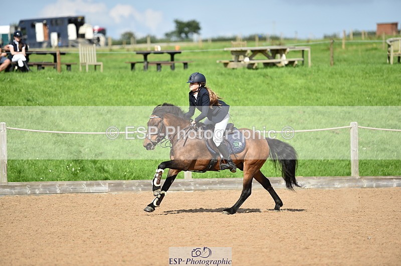 230902A-152412-01881 - Cls 4A Pony Big 95cm