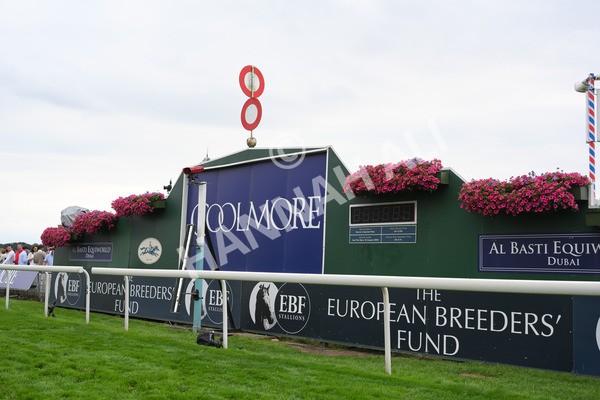 yr20082021r6-16 - Race 6 4.40pm Assured Data Protection British EBF Fillies' Stakes