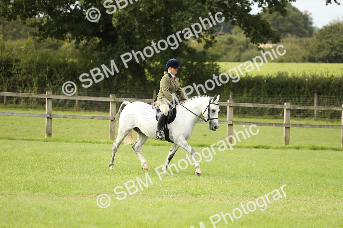 SBM_71533 - S41 - Ridden Equitation (Best Rider)