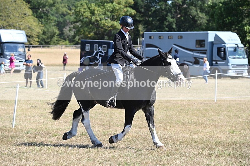 WJ6_8201 - Class 37a Best Loan Pony Ridden