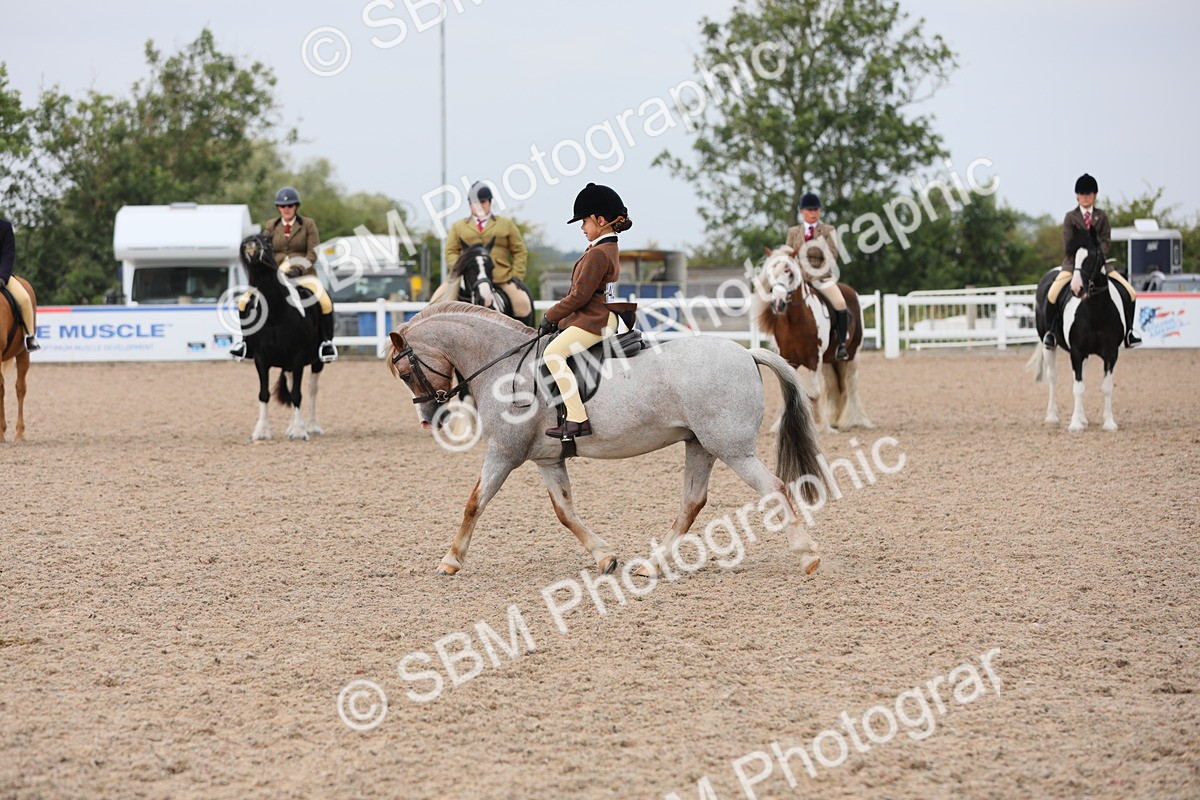 SBM_12707 - Class 307 Ridden Coloured Pony