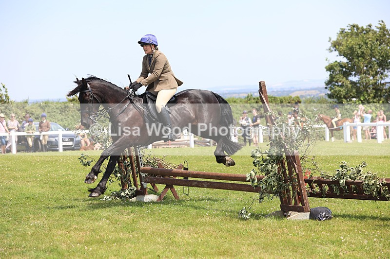 JPP_2549 - Class 21: Working Hunter 60cm