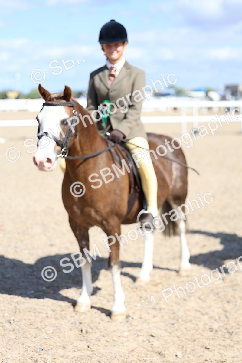 SBM_13350 - Class 311 - Ridden Show Pony Show Hunter Pony