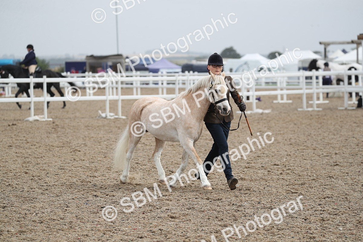 SBM_22550 - Class 604 - 2025 Area - IH Diamond