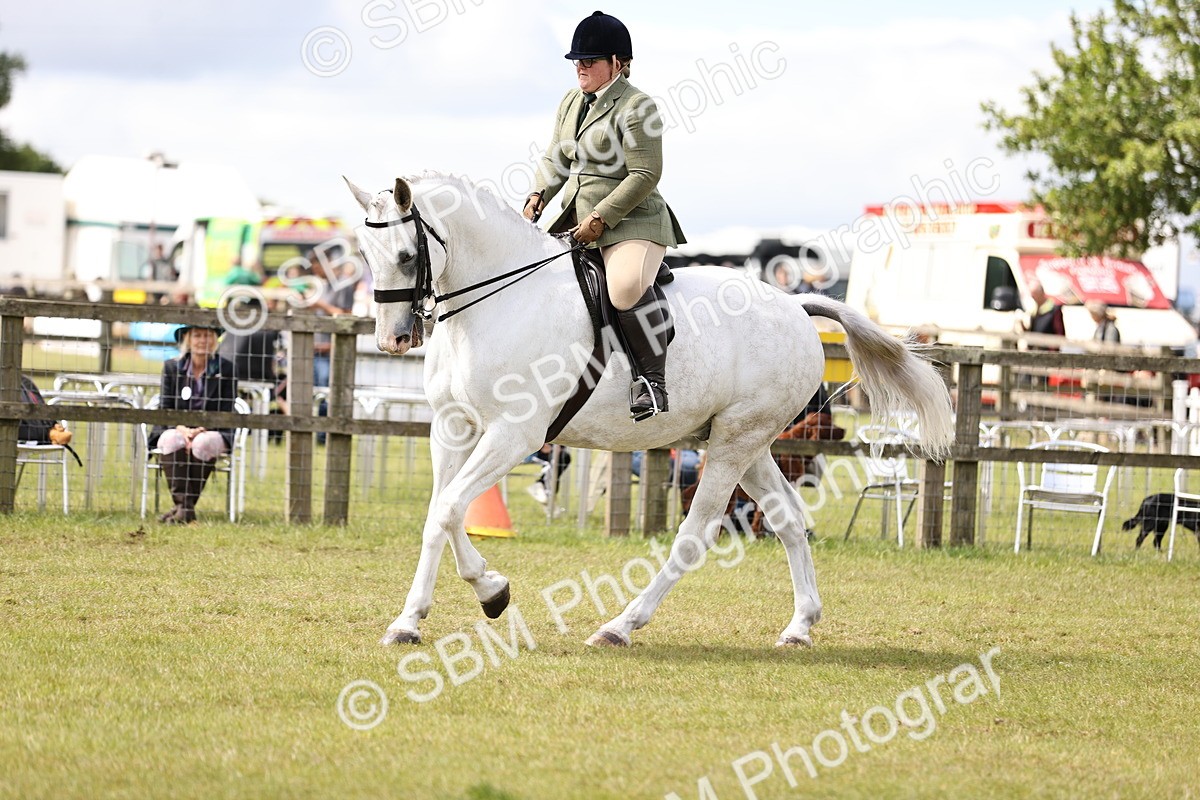 SBM_14705 - Class 88-89 - LIHS BSHA Rising Star of Ridden Hunter Type