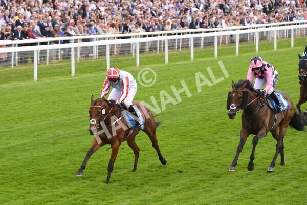 yr11062022r2-66 - Race 2 2.00pm Queen Mother's Cup