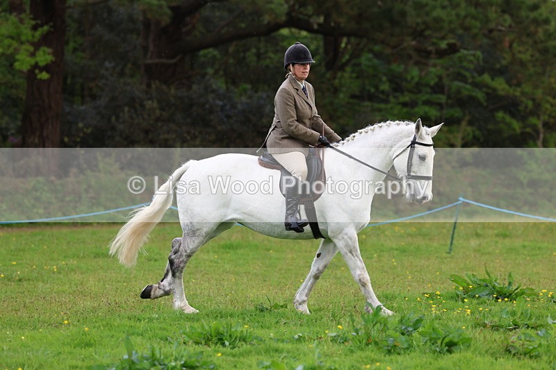 3E7A2579 - Classes 30 and 31: 80cm Working Hunter