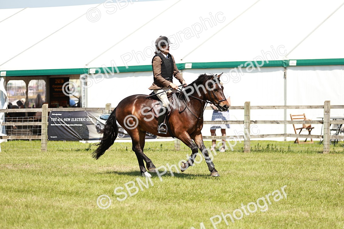 SBM_16385 - Class 110-111 - Training Stakes (70cms 80cms)
