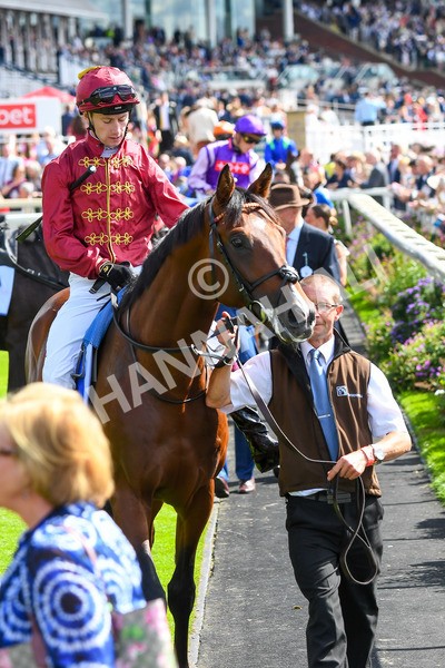 260823-Race 2-Middle Earth-0200 - Race 2 Sky Bet Melrose Handicap