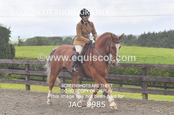 JAC_9985 - CLASS 3 Intermediate Working Hunter (0.70m - 0.85m)