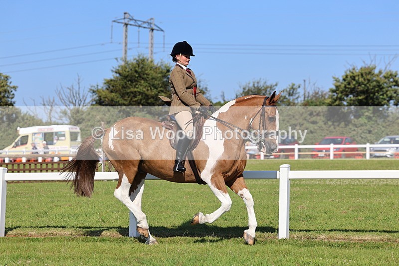 IMG_1462 - Class 29:  Ridden Native/Trad Coloured Horse