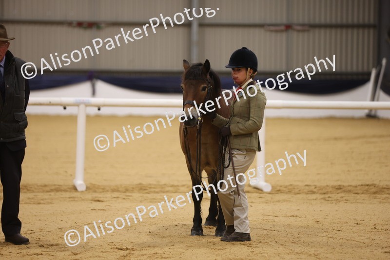 20260913-1026 - Class 109 - Bred On Exmoor In Hand