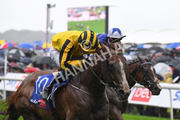 yr21082021r4-73 - Race 4 3.35pm Sky Bet Ebor