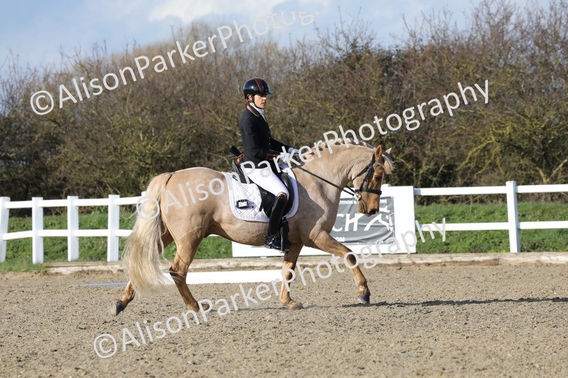 20260314-5812 - DR 7 - Elementary 1