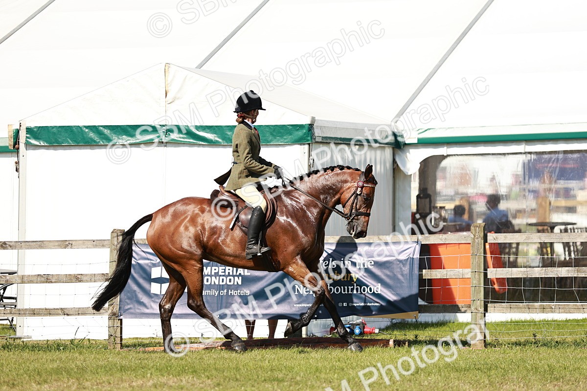 SBM_18881 - Class 114 - RIHS & SEIB Open Working Show Horse