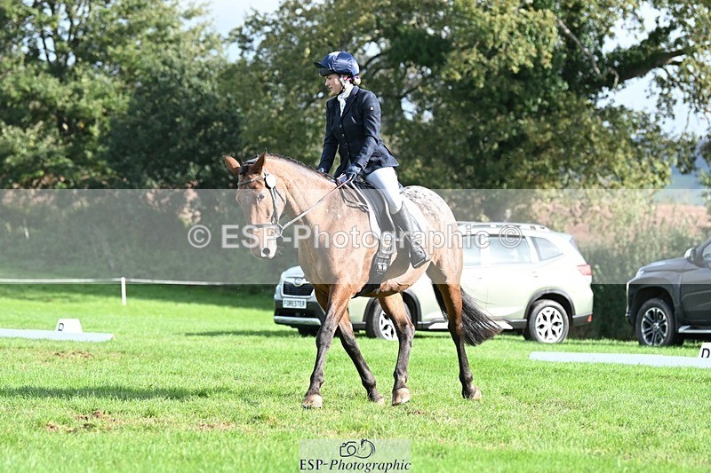 231020-115707-07953 - 482-ODDSPOT.VITAL.ELEMENT-Danielle.Davies-DR