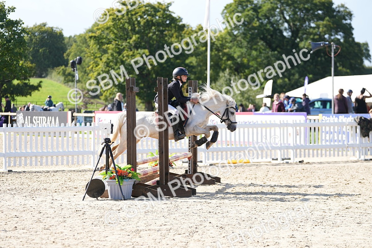 SBM_38356 - J6 - Junior Pony 55cm Championship