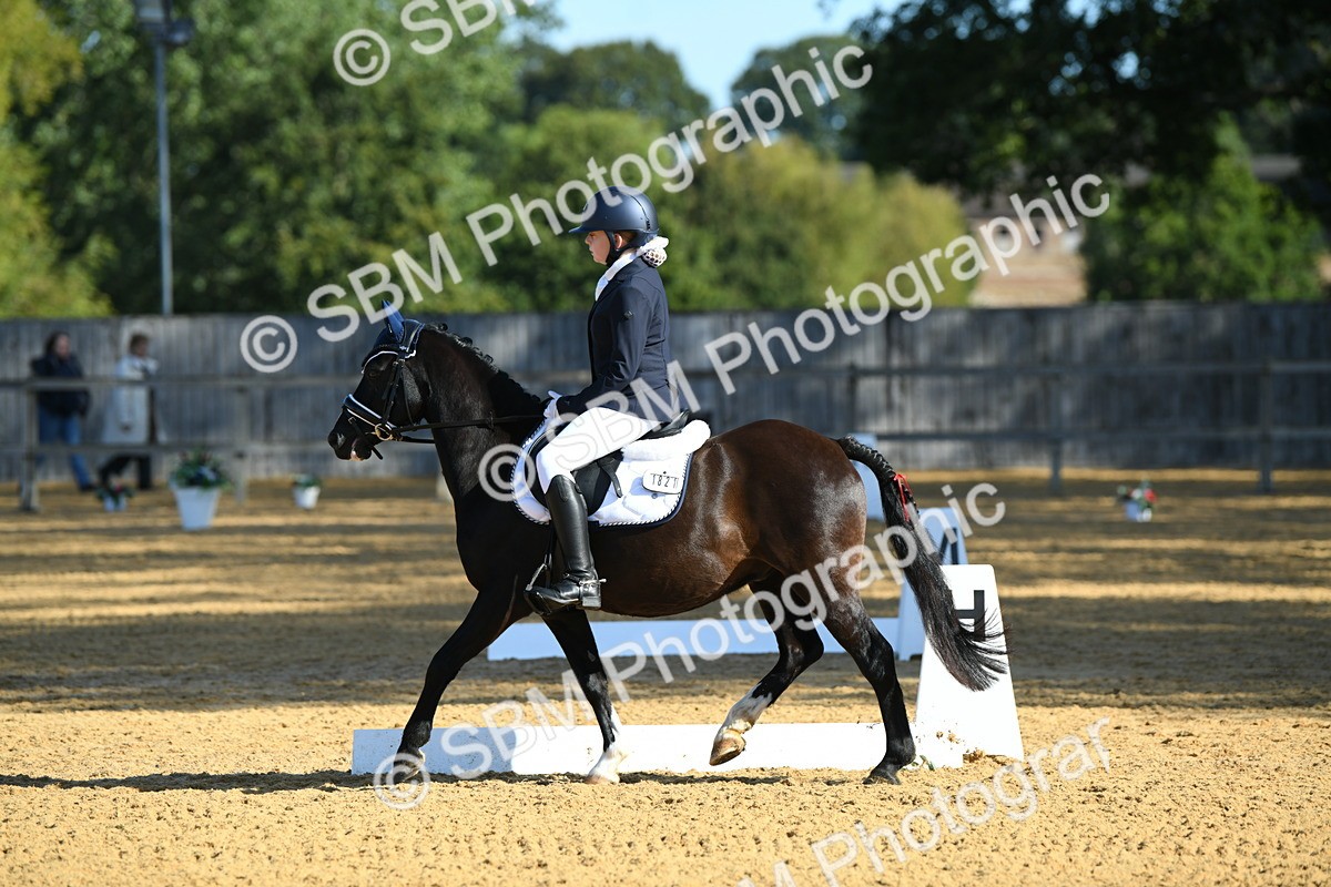SBM_16306 - D4 - Small Tour Championship - Intro B