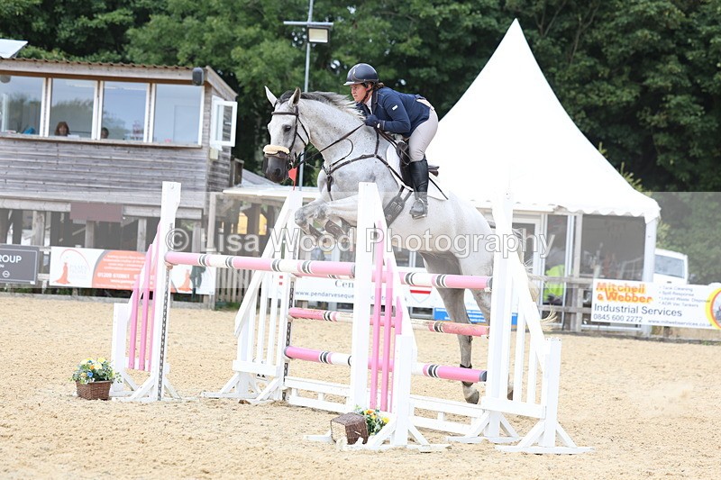 3E7A6469 - Class 9: Senior Foxhunter/1.20 open