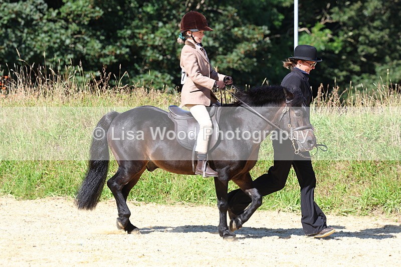 3E7A8033 - Class 15: Lead Rein