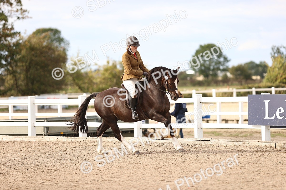 SBM_18178 - Class 423 - Equitation (best rider) Adult