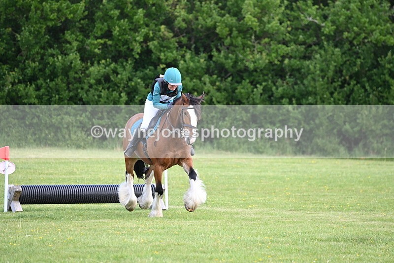 WJ6_2617 - Class 2 40cm