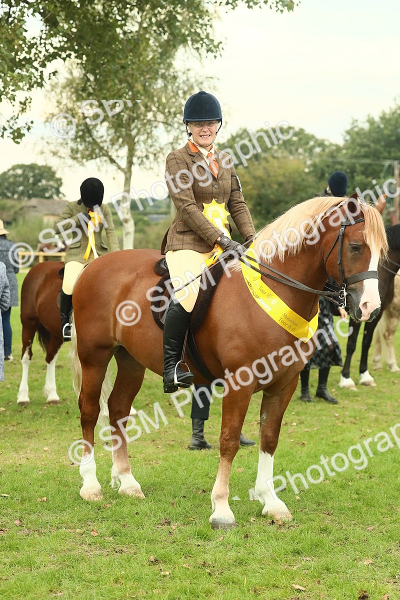 SBM_72298 - S60 - Mountain & Moorland Ridden Large Breeds